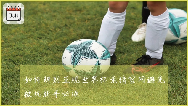 如何辨别正规世界杯竞猜官网避免被坑新手必读