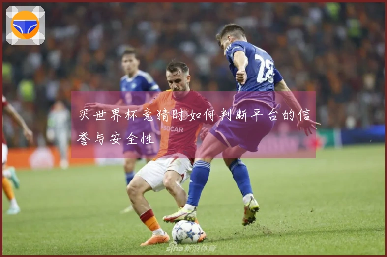 买世界杯竞猜时如何判断平台的信誉与安全性